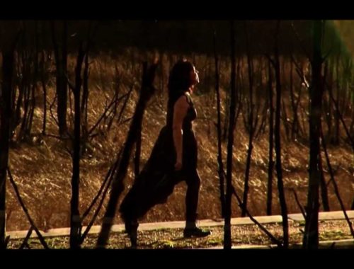 Affiche du clip Ne plus rien désirer de Caroline Chivé